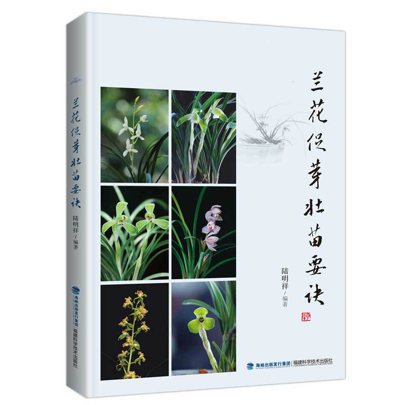 [醉染正版]兰花促芽壮苗要诀 促苗 开花 阳台养兰 家庭园艺养花兰花种植养护书籍 兰花名品介绍兰花鉴赏 兰花病虫防治 盆高清大图