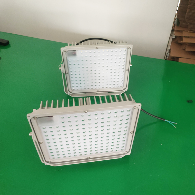 盛王盛荣 LED 投（泛）光灯高清大图