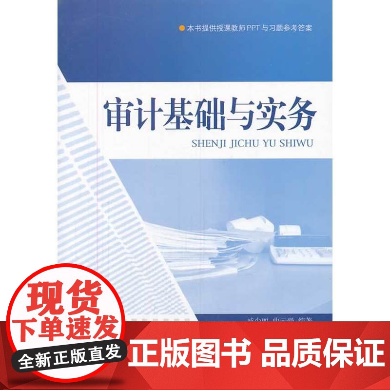 审计基础与实务高清大图