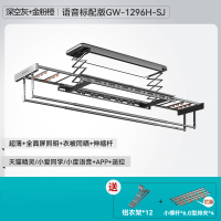好太太(Hotata)超薄电动隐形晾衣架嵌入晾衣杆隐藏晒衣全自动智能晾衣机室外阳台 [GW-1296H-SJ]