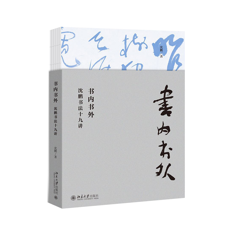 醉染图书书内书外:沈鹏书法十九讲9787301309971高清大图