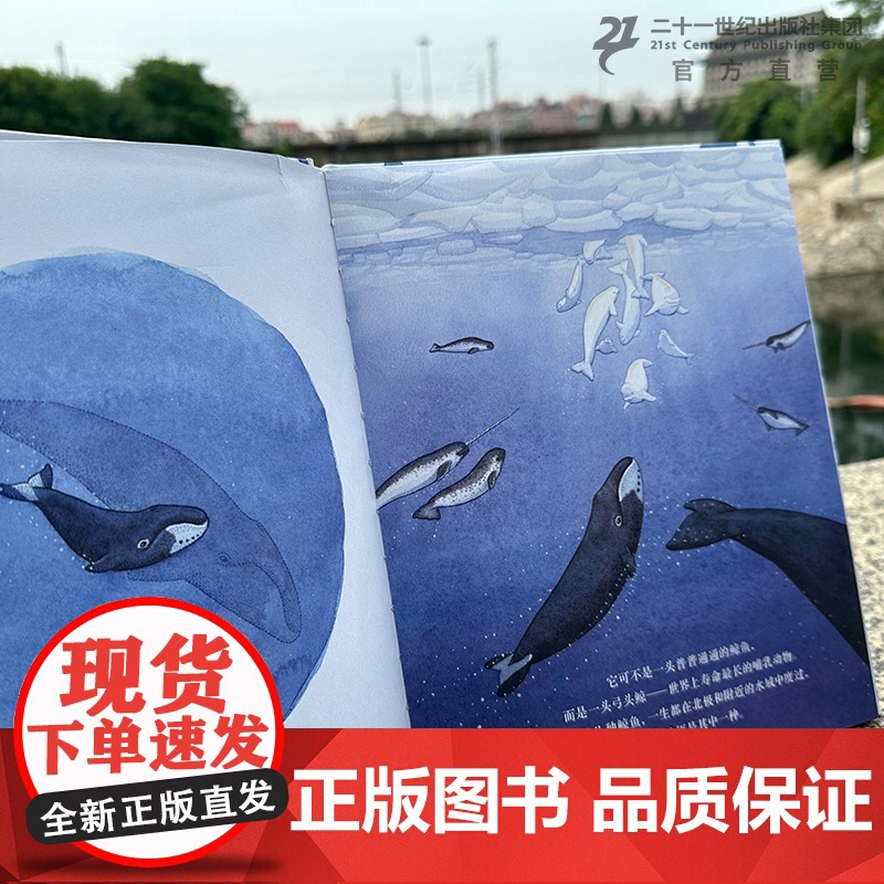 游过时间的鲸鱼 3-6-8岁给孩子的自然和生命教育绘本诉说生命的坚韧与珍贵2023年美国科学教师协会“优秀青少年科普图书高清大图