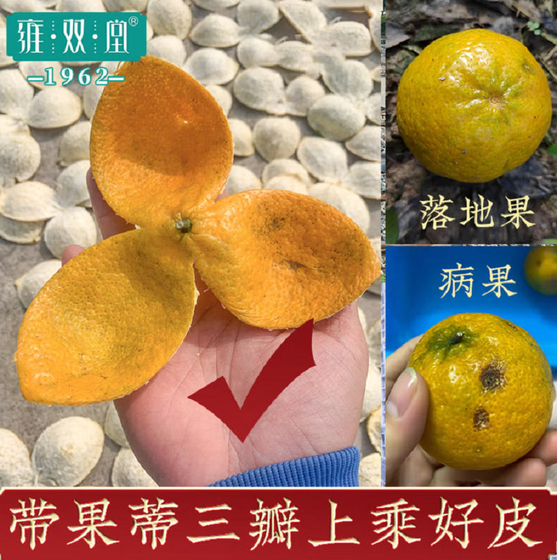 雍双堂 正宗干仓新会陈皮3年玻璃罐伴手礼广东特产70g CPY-1001高清大图
