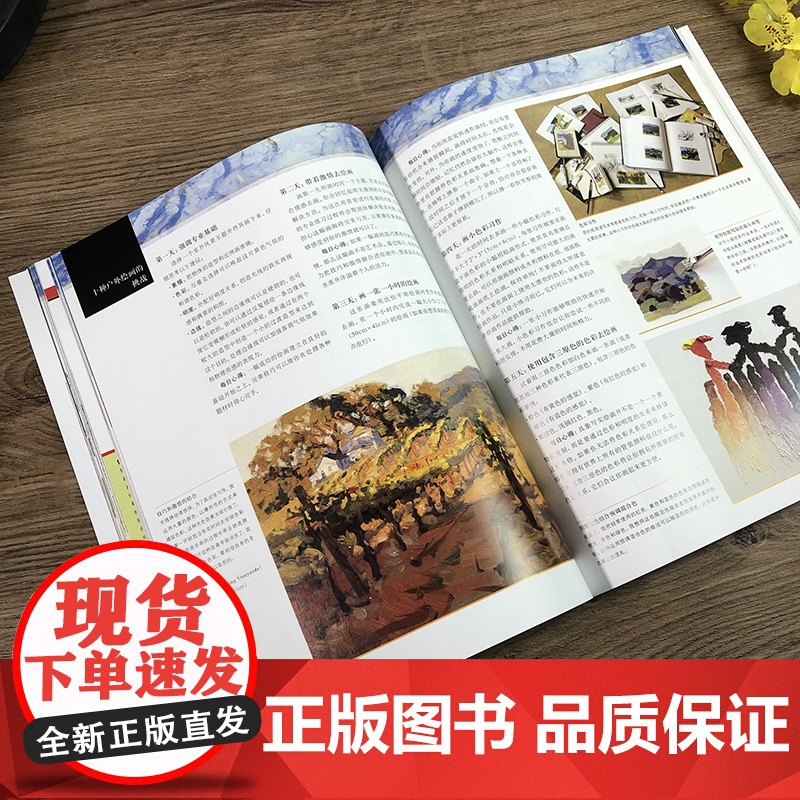 油画风景写生与创作第二版风景油画写生构图色彩光影绘画技法户外室内风景油画创作步骤示范教学 油画初学自学基础入门教程高清大图