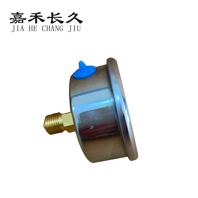 嘉禾长久 耐震压力表轴向 YTN60Z 0-1.0Mpa 块高清大图