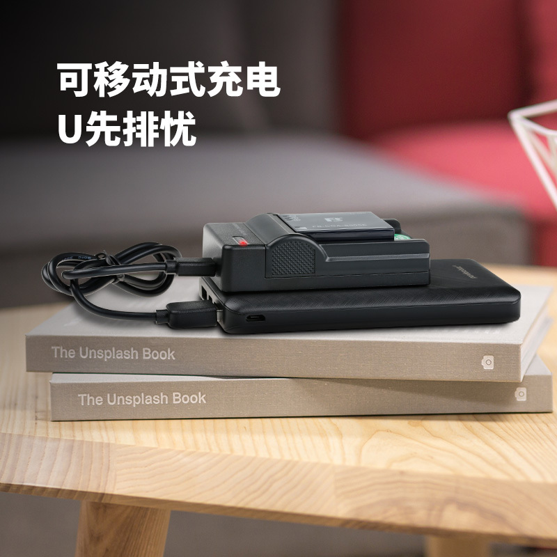 沣标CGA-S005E充电器理光GR GR2相机DB-65松下LX3 FX5 FX8 FX9 DMC-FX100充电器