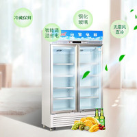 白雪 (Baixue) 冰柜400升立式展示柜 商专用冷饮陈列柜 保鲜冷藏饮料柜SC-400FB