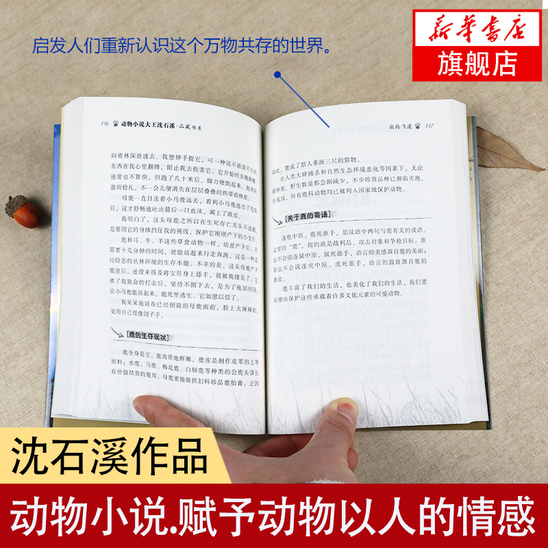 最后一头战象 [正版] 斑羚飞渡 动物小说大王沈石溪品藏书系狼王梦青少年课外书8-10-12-15周岁四五六年级小学生课