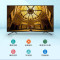 海信(Hisense)75H55E 电视75英寸 超高清4K 智能液晶平板电视机 家用商用电视
