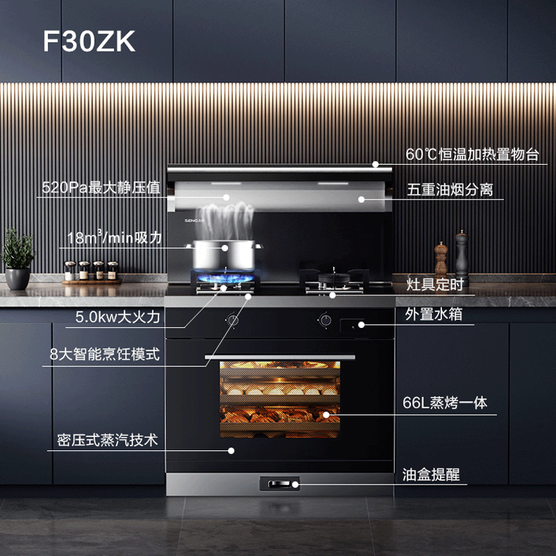 [拍单前咨询库存]森歌(SENG)集成灶F30ZK家用蒸烤炸一体机外观美 大火力侧吸抽油烟机灶具套装 液化气