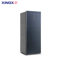星星(XINGX)168升冷柜冰箱风冷无霜家用超薄电冰箱 立式冷冻柜 电脑温控保鲜柜 BD-168WV5C