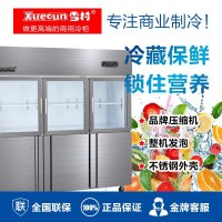 雪村(Xuecun)CFS-60N3 1250L 商用冷柜 上玻璃 立式冷柜 六门厨房柜冰箱 上冷藏柜 下冷冻柜 冰柜