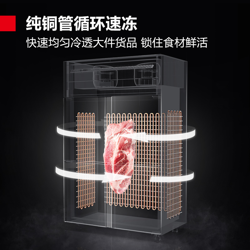 德玛仕(DEMASHI)四门高身雪柜 冰柜商用冷藏冰箱 冷柜 全铜管BG-900C-2W 双温[工程升级款}