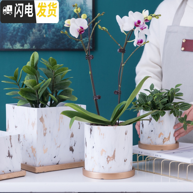 三维工匠北欧轻奢风陶瓷花盆带托盘大号落地花盆客厅金色大理石纹蝴蝶兰盆 圆形中号14X14cm(带托盘) 中等花盆容器