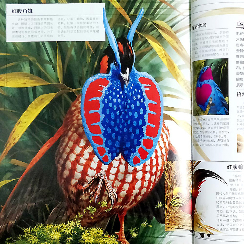 [正版]北斗自然传奇:动物的生存之道 动物的智慧和行为大百科全书 6-12岁儿童科普书揭秘自然动物生命奥秘图画书籍高清大图