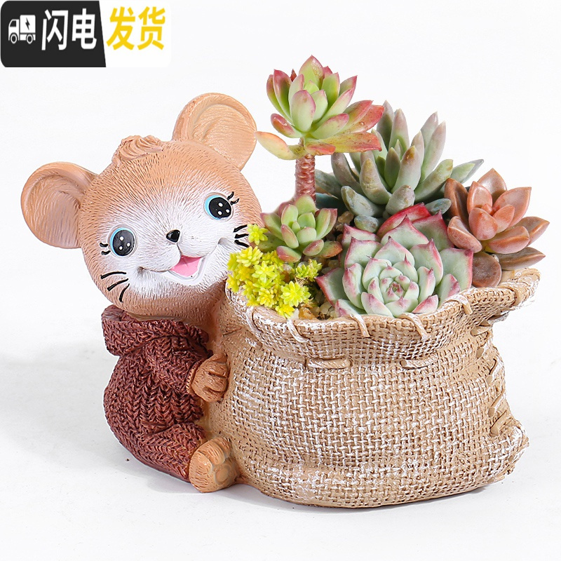三维工匠大号口径多肉花盆创意个性简约现代卡通可爱精致小动物兔松鼠摆件 紫色大号布袋多肉盆 中等花盆容器