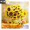 三维工匠钻石画2020年新款向日葵满钻客厅十字绣水晶小幅带 [框+画][满钻全贴]60*60厘米[钻量多30免费补钻]