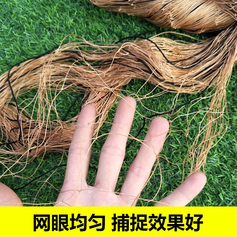 鼎立（DINGLI）野鸡网捕野鸡野鸡套网野鸡网捕捉野鸡网 捕捉野鸡工具野鸡拉网防鸡网围网防鸟网网具图片