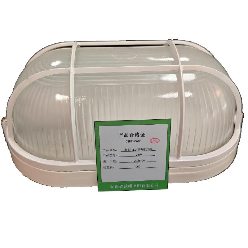 鑫彪 LED防爆防潮灯24W/个