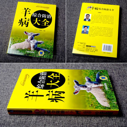 [醉染正版]羊病综合防治大全养羊技术书籍羊病快速诊断技术大全教程养殖书籍大全高效养羊山羊绵羊盘羊喂养饲养疾病诊断技术书籍高清大图