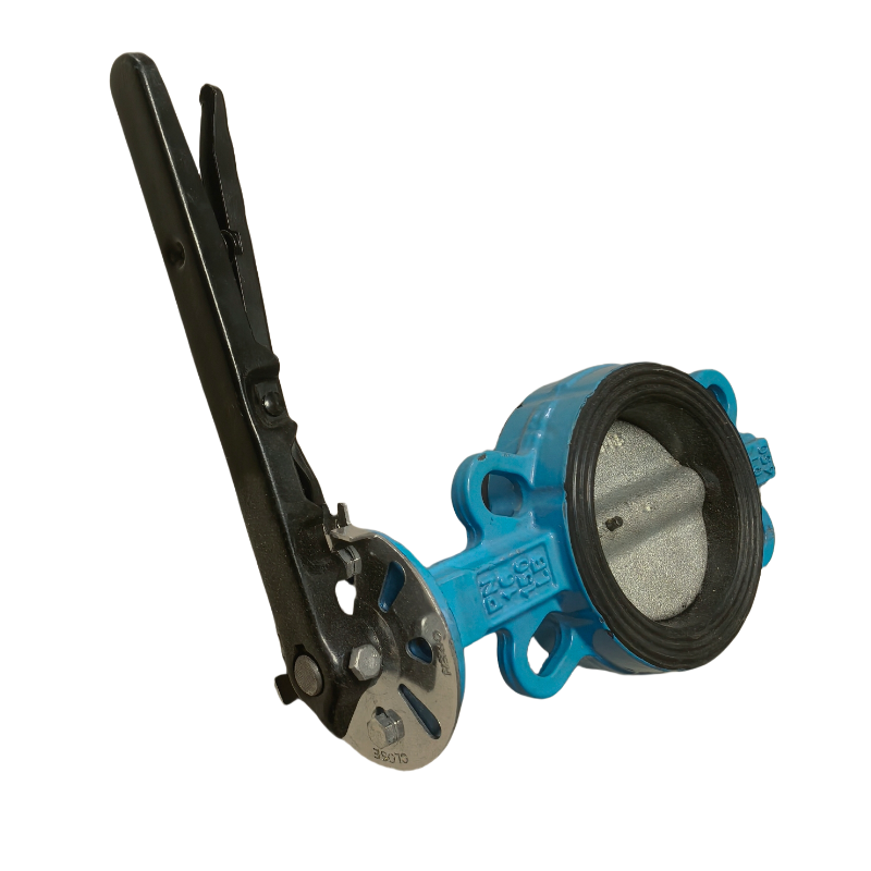 晟宏德 手柄对夹蝶阀 DN100 个高清大图