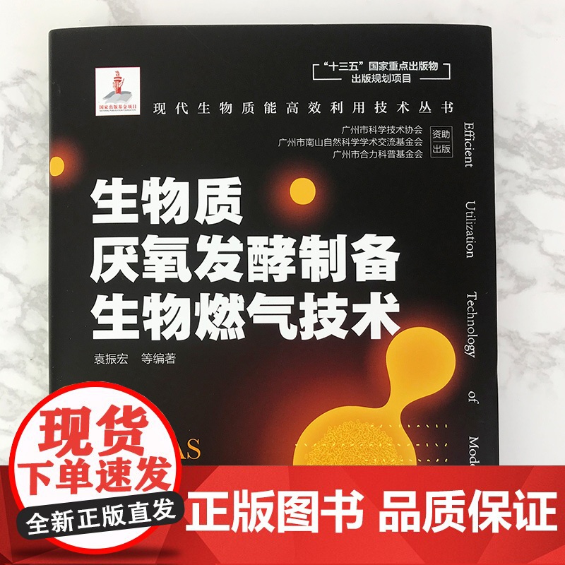 现代生物质能高效利用技术丛书 燃料乙醇生产制备技术 赵海 燃料乙醇生产原理 乙醇发酵的工艺类型 淀粉质糖类纤维素原料乙醇高清大图