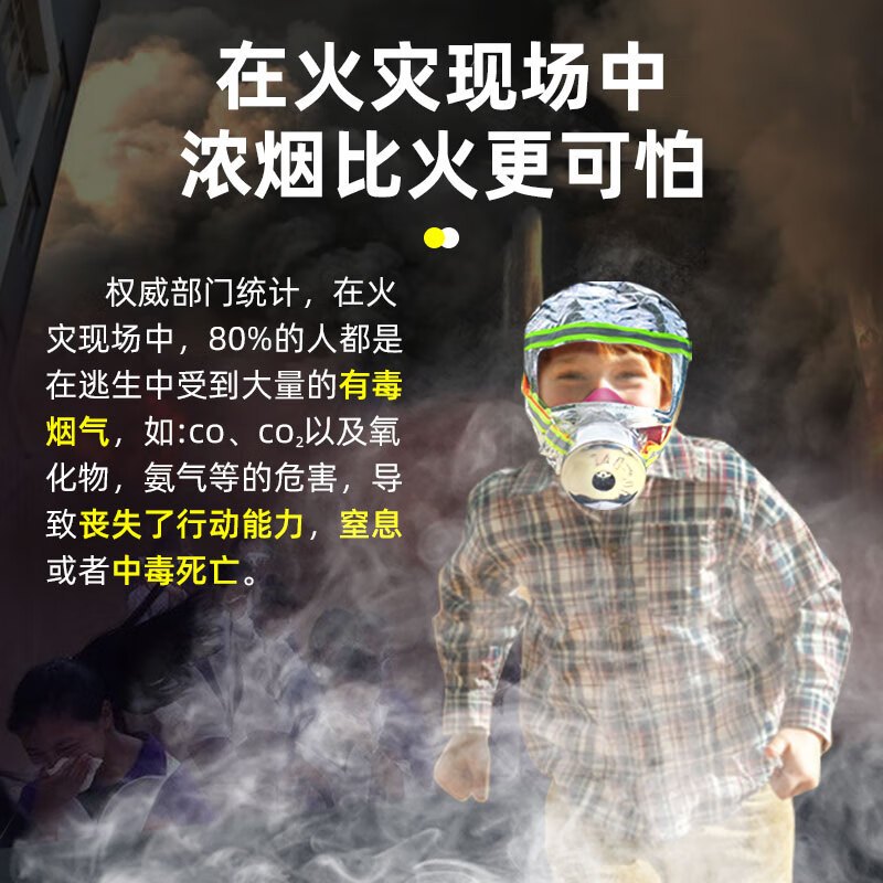 防毒面具 TZL30A 三重防护
