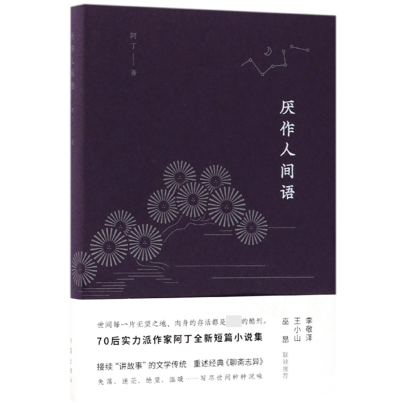 音像厌作人间语(精)阿丁