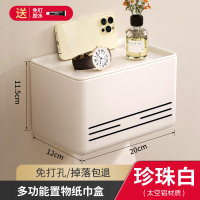 丹乐DANLE 厕所纸巾收纳架洗手间壁挂手纸卷纸架免打孔卫生间纸巾盒浴室置物架 厕纸抽纸盒卫生纸收纳盒 白色-横纹纸巾盒