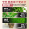 肥料专用肥治叶子发黄掉叶烂根室内盆栽植物花肥通用