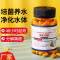 硝化细菌鱼缸用净水剂鱼药养鱼净化水质稳定剂分解鱼粪消化活菌液