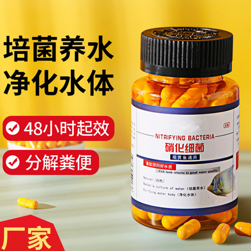 硝化细菌鱼缸用净水剂鱼药养鱼净化水质稳定剂分解鱼粪消化活菌液