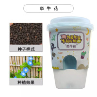 花样汇开心农场牵牛花魔术花盆