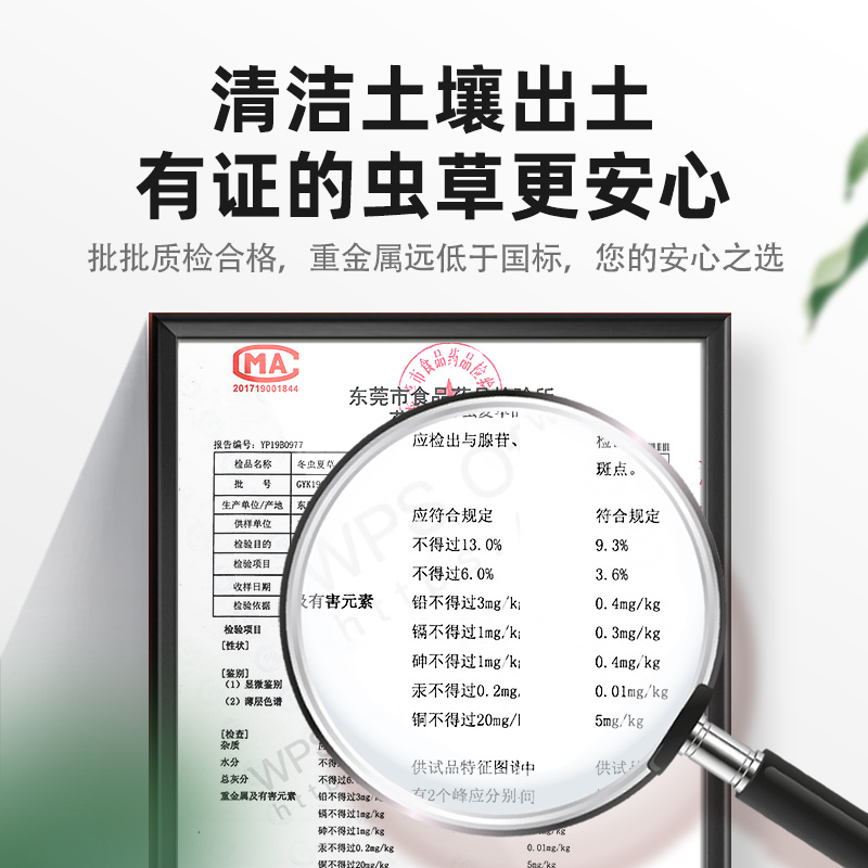 杞里香冬虫夏草正品青海虫草干货1克4根/克无断草礼盒酒包装
