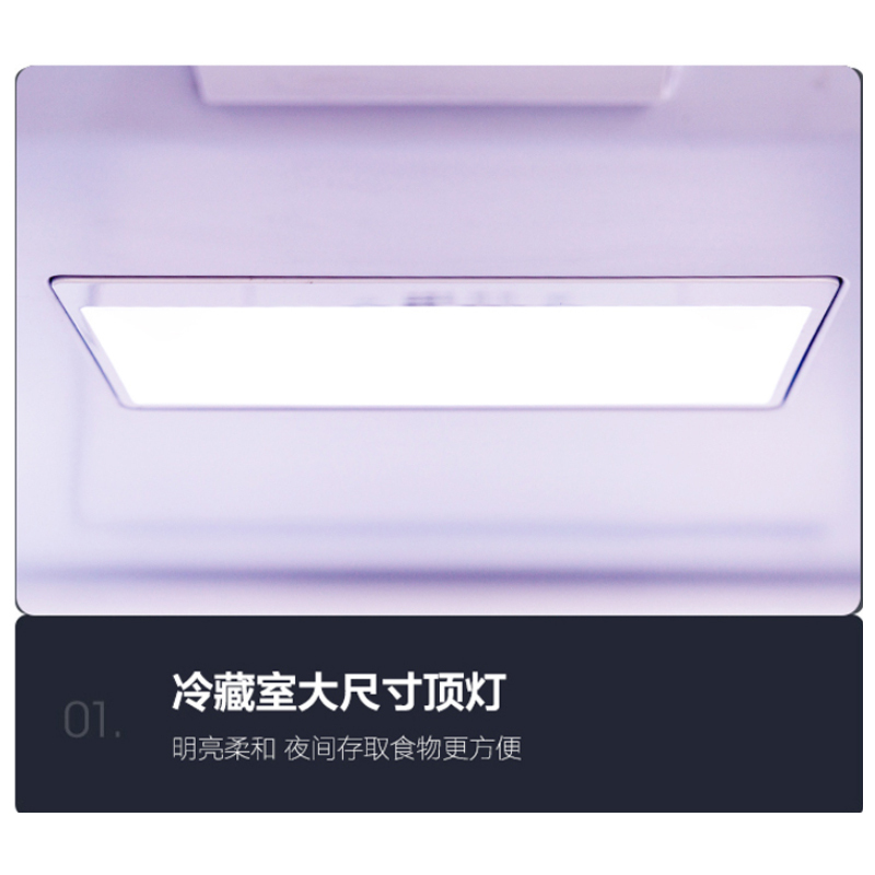 新飞(FRESTEC) 442升十字对开门一级变频风冷无霜家用四门多门电冰箱 BCD-442WK8CT/L