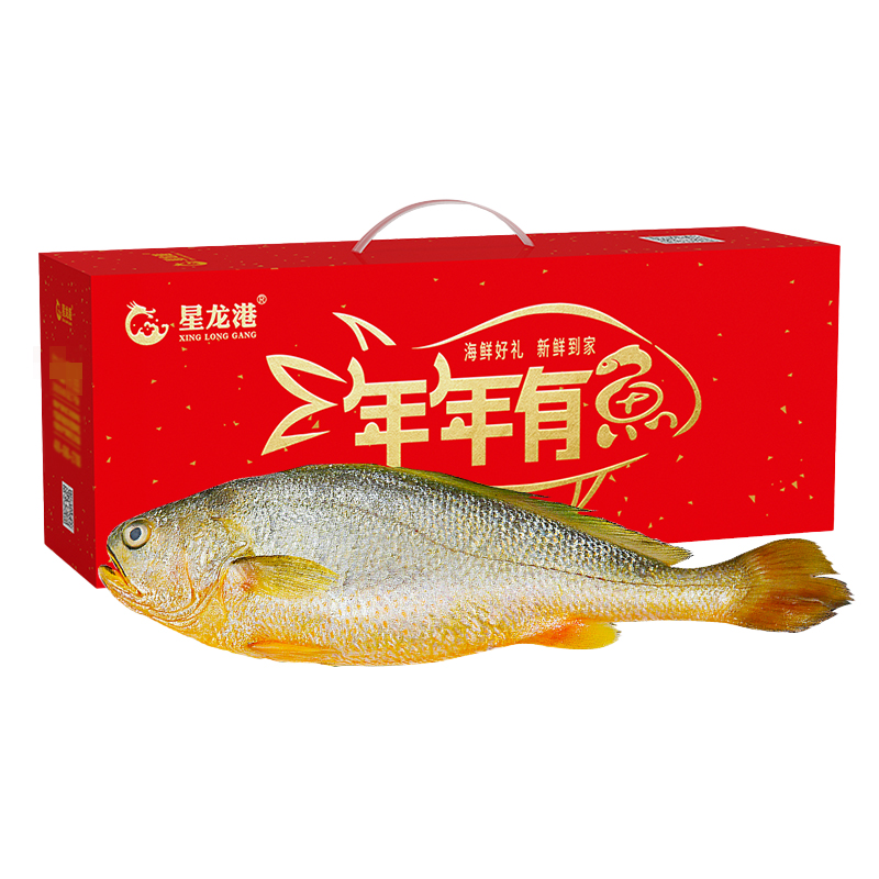 星龙港 鲜活捕捞大黄鱼礼盒 （1500g单条装）
