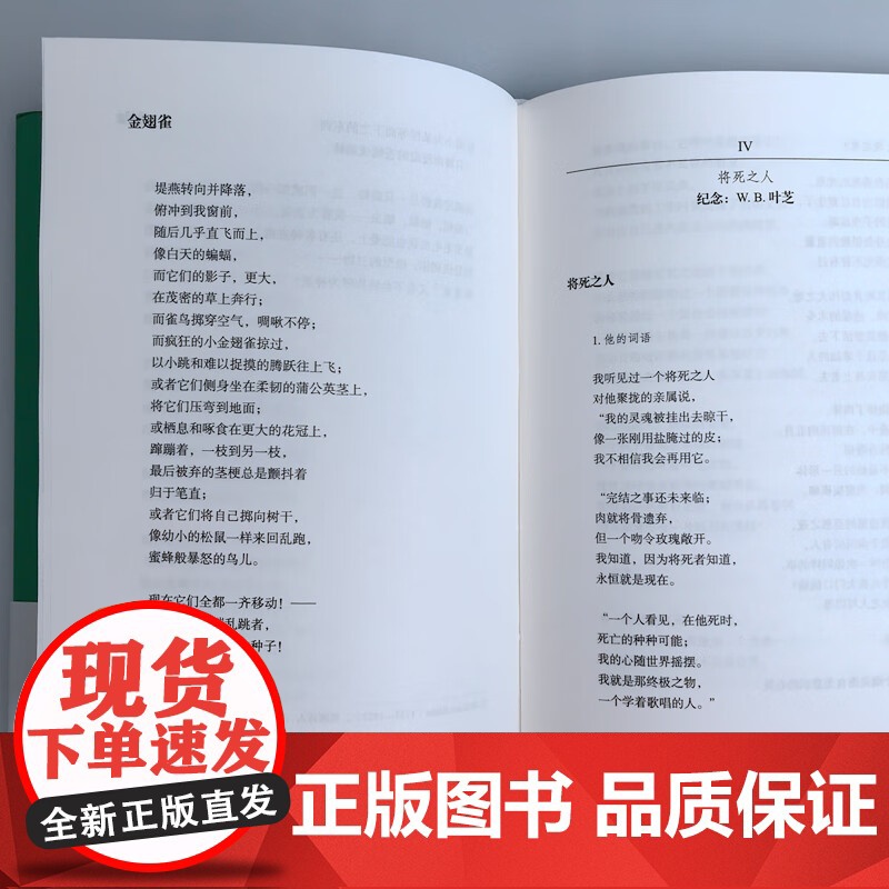 醒 西奥多 罗思克诗全集 西奥多·罗思克 著 文学高清大图
