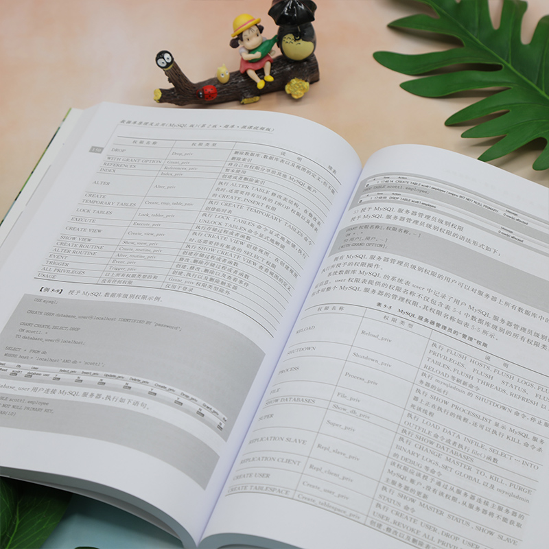 [正版]新书 数据库原理及应用(MySQL版)(第2版·题库·微课视频版) 李月军 SQL语言-关系数据库系统高清大图
