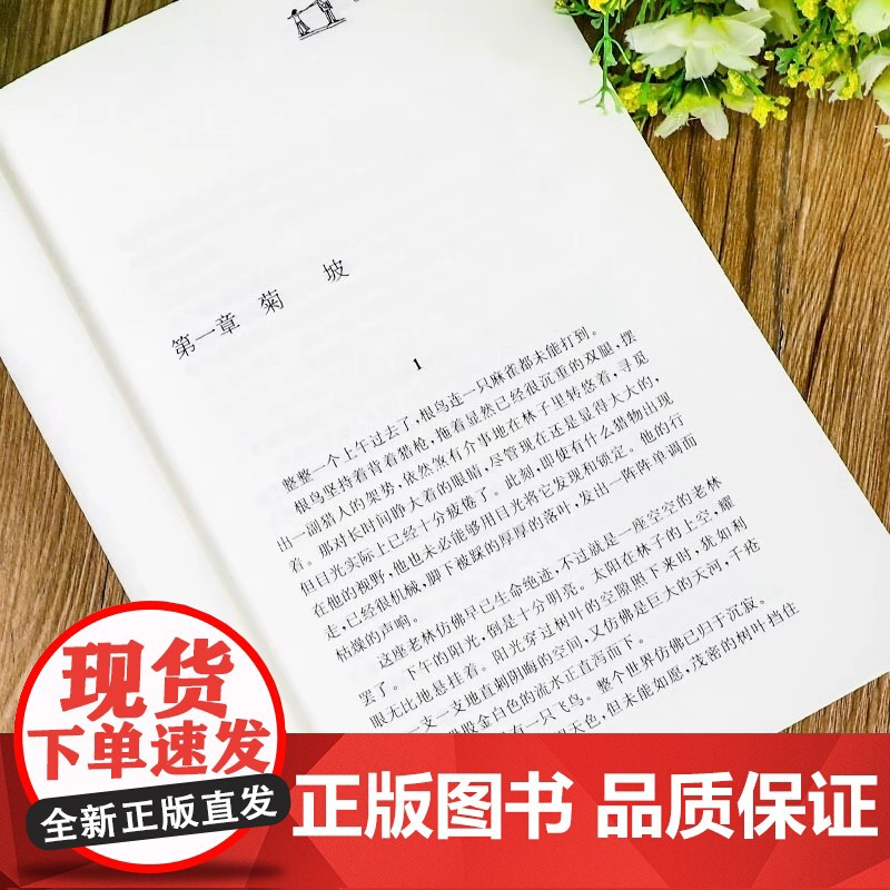 正版曹根鸟 纯美小说集曹系列课外阅读书籍 经典作品配套课本儿童文学获奖作品四五六年级小学生少儿读物高清大图