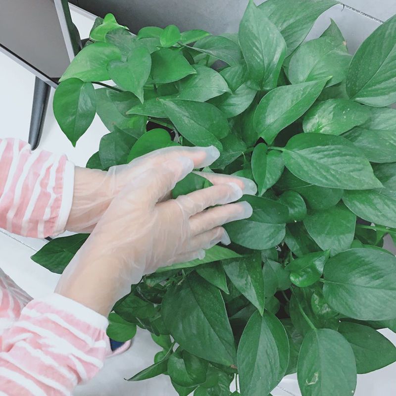 儿童一次性丁腈手套食品级小孩pvc中小学生橡胶防护乳胶家务小号|深蓝色高弹[加厚款S号]100只/盒 均码