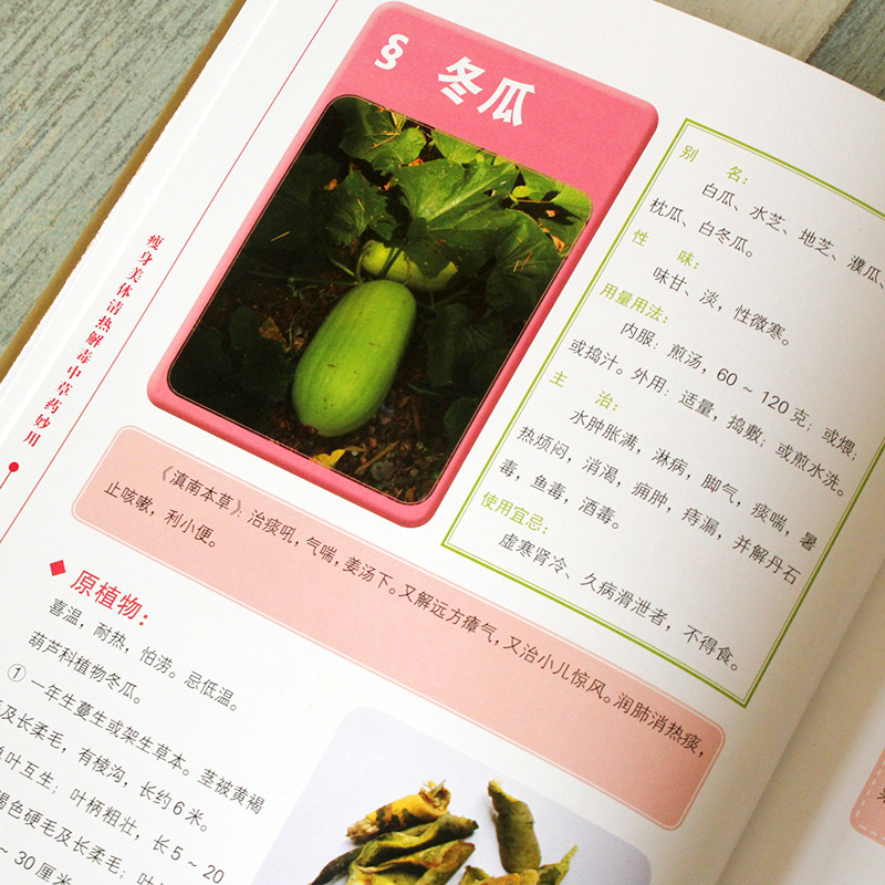 [醉染正版]美体清热中草药妙用彩图版精装 正版中草药药材彩色图谱图鉴 中医良方妙方养生药膳食疗菜谱 中医保健养生入门书籍高清大图