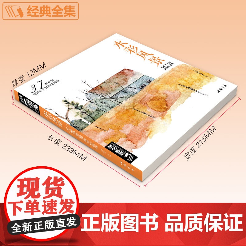 经典全集 水彩风景画教程入门零基础自学教材书籍临摹画册私享课超写实古风插画图书 杨建飞主编sh高清大图