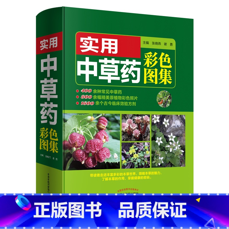 【正版】 书籍实用中草药彩色图集