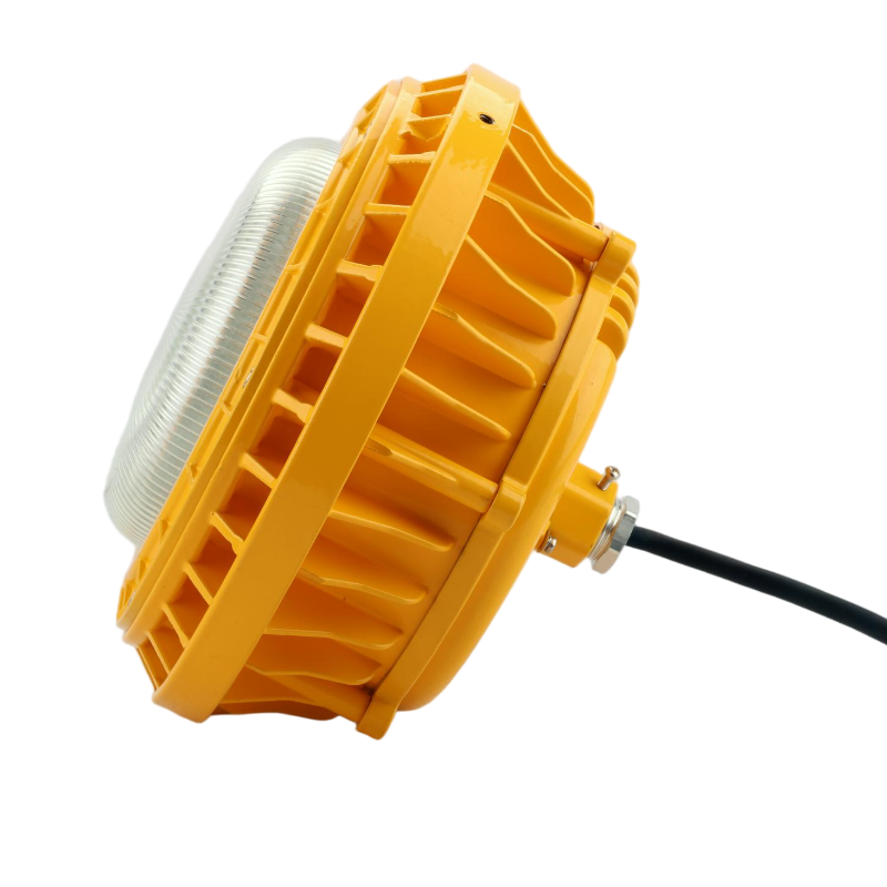 简鼎 JD9212 AC220V 100W IP66 免维护LED防爆灯 (计价单位:盏) 黄色高清大图