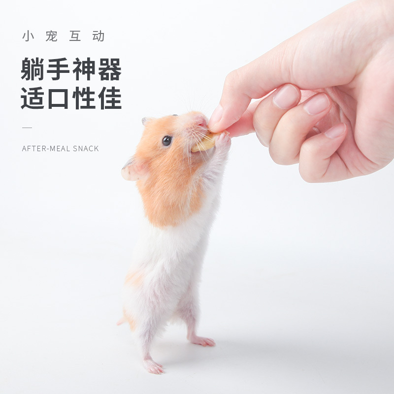 宠物零食什锦水果500ml*2仓鼠兔子龙猫荷兰猪粮食饲料用品高清大图