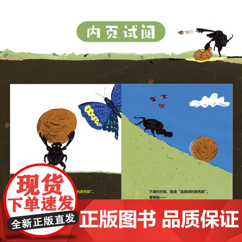 不滚粪球的屎壳郎 大塚健太 著 儿童绘本 预售高清大图