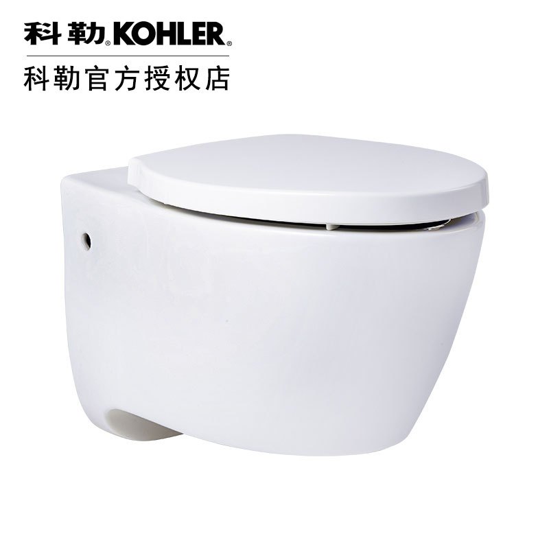 科勒壁挂式马桶挂墙隐藏水箱入墙式小户型家用墙排智能坐便25255
