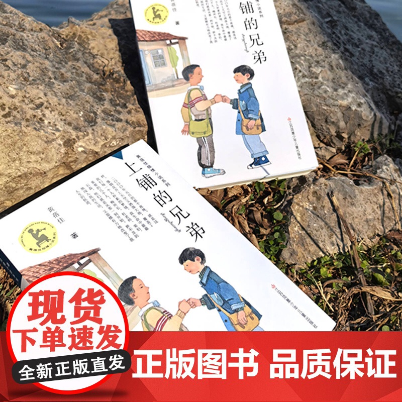 上铺的兄弟 黄蓓佳倾情小说系列2025新作 教育理想 通识教育 儿童成长高清大图