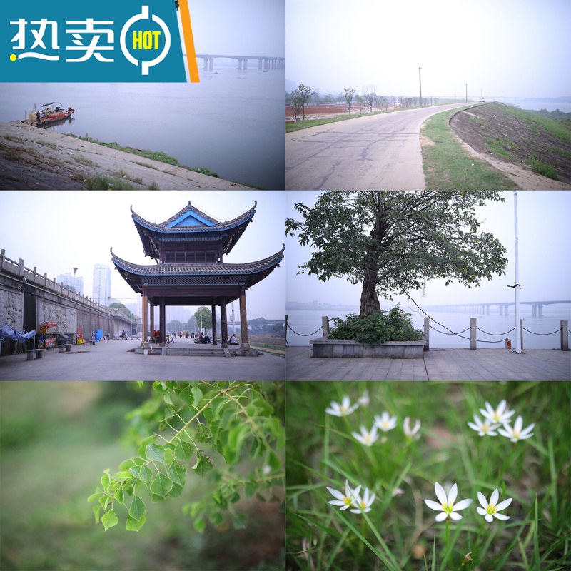 敬平带手柄洗手盆洗脸池面盆洗手台刷子清洁刷家用浴室瓷砖厨房浴缸刷 收藏加购享优先发货高清大图