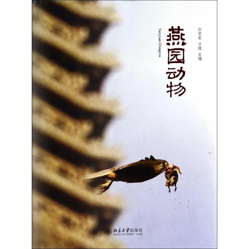燕园动物 无 著 文学 文轩网